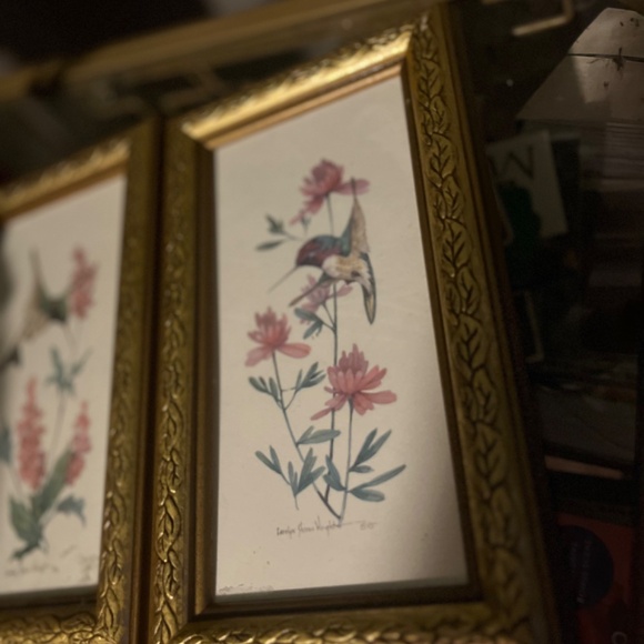 Carolyn Shores Wright Hummingbird Print - Picture 2 of 4